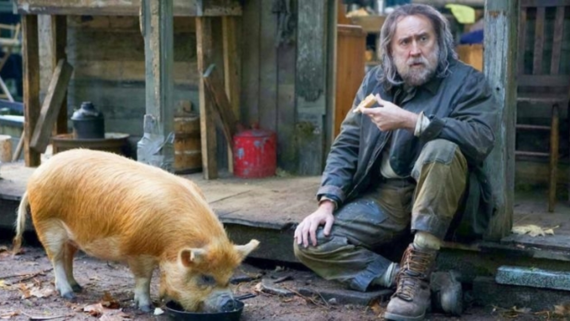 Regresa el ganador del Óscar Nicolas Cage con la película “Pig”