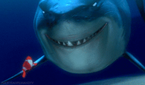nemo-shark