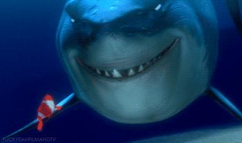 Migran los tiburones blancos a Florida