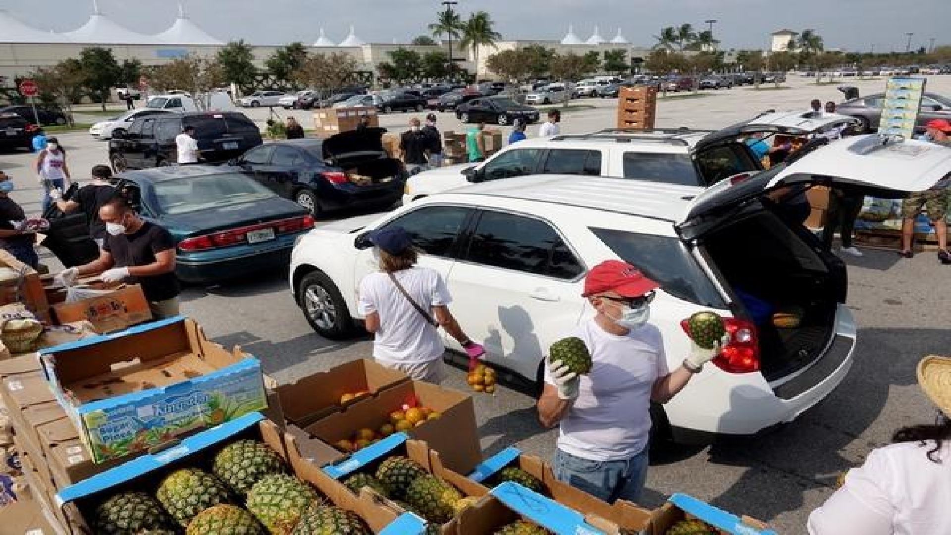 Feeding South Florida entrega ALIMENTOS toda la SEMANA en Palm Beach