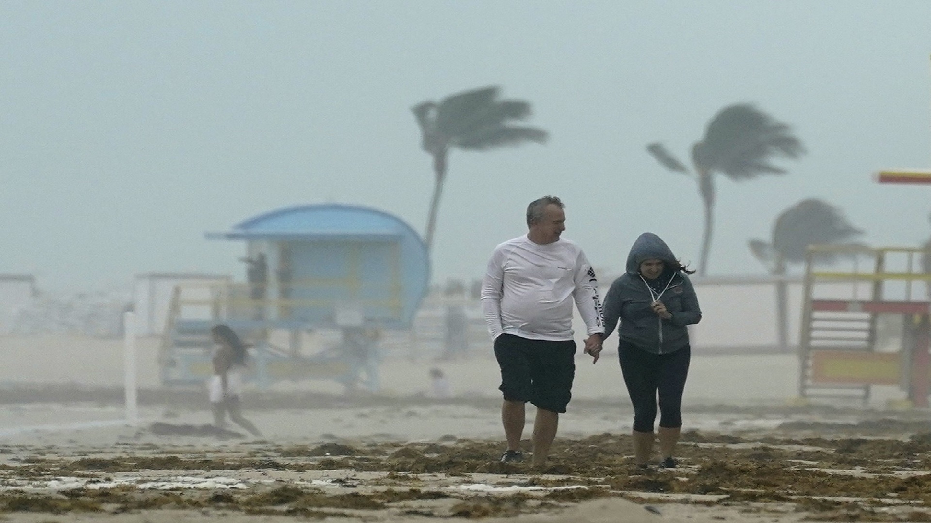 TORMENTA “ETA” deja  INUNDACIONES y ÁRBOLES CAÍDOS en West Palm Beach