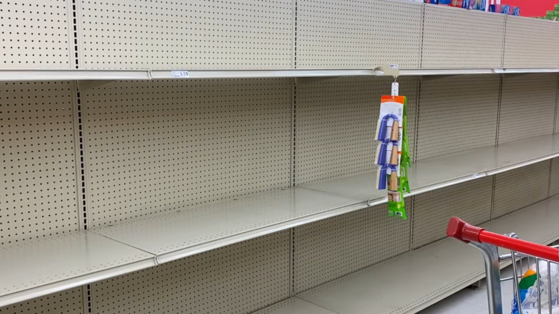 MÁS DEMANDA de PAPEL HIGIÉNICO por AUMENTO de COVID en Florida