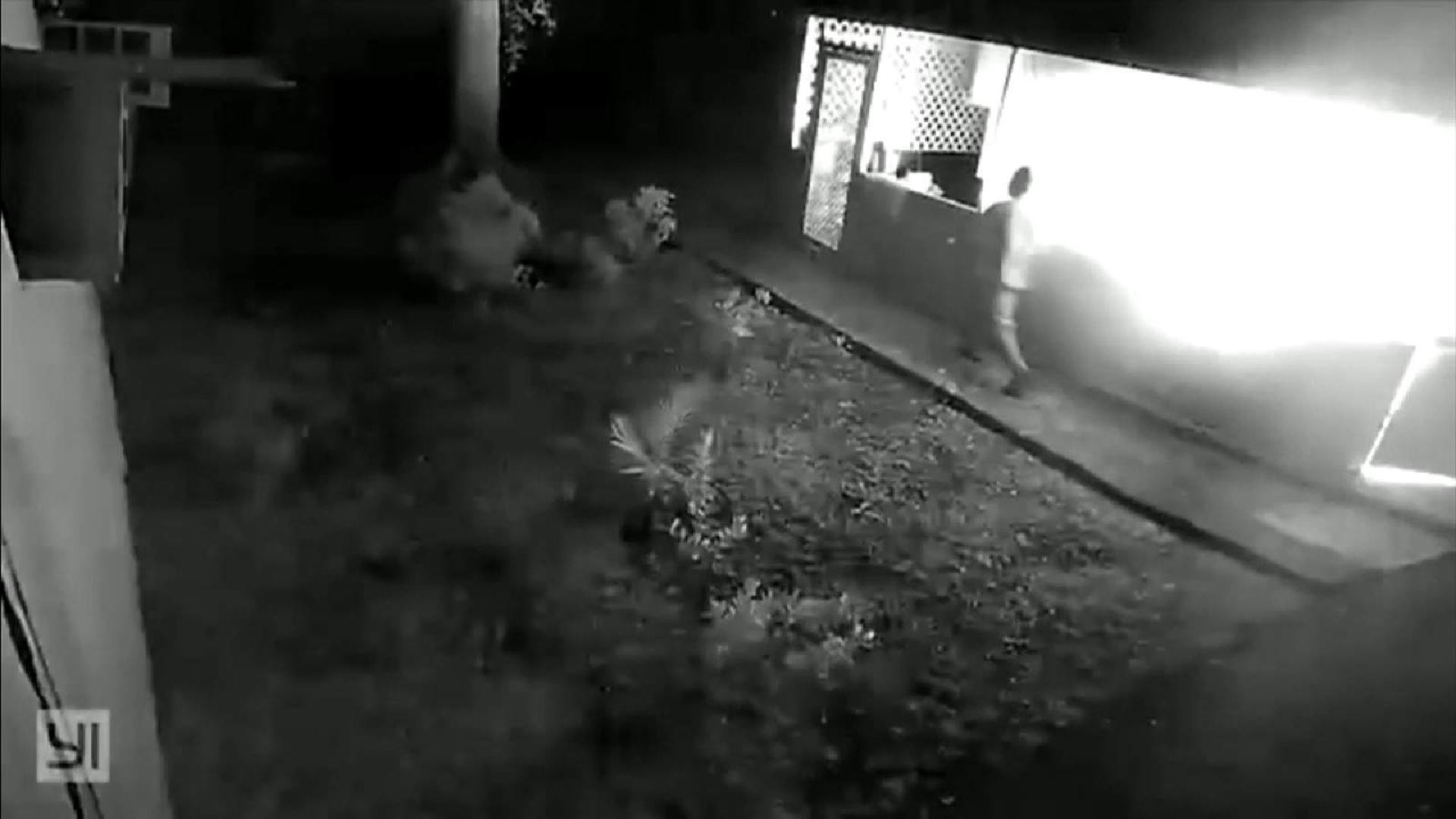 REVELAN VIDEO de la MUJER QUEMADA por su EX NOVIO en Broward