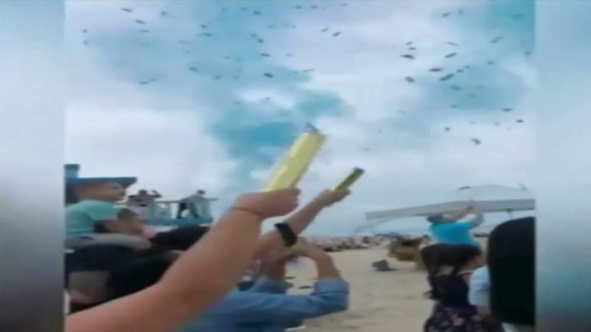 REVELACIÓN de GÉNERO causó controversia en playas de MIAMI BEACH