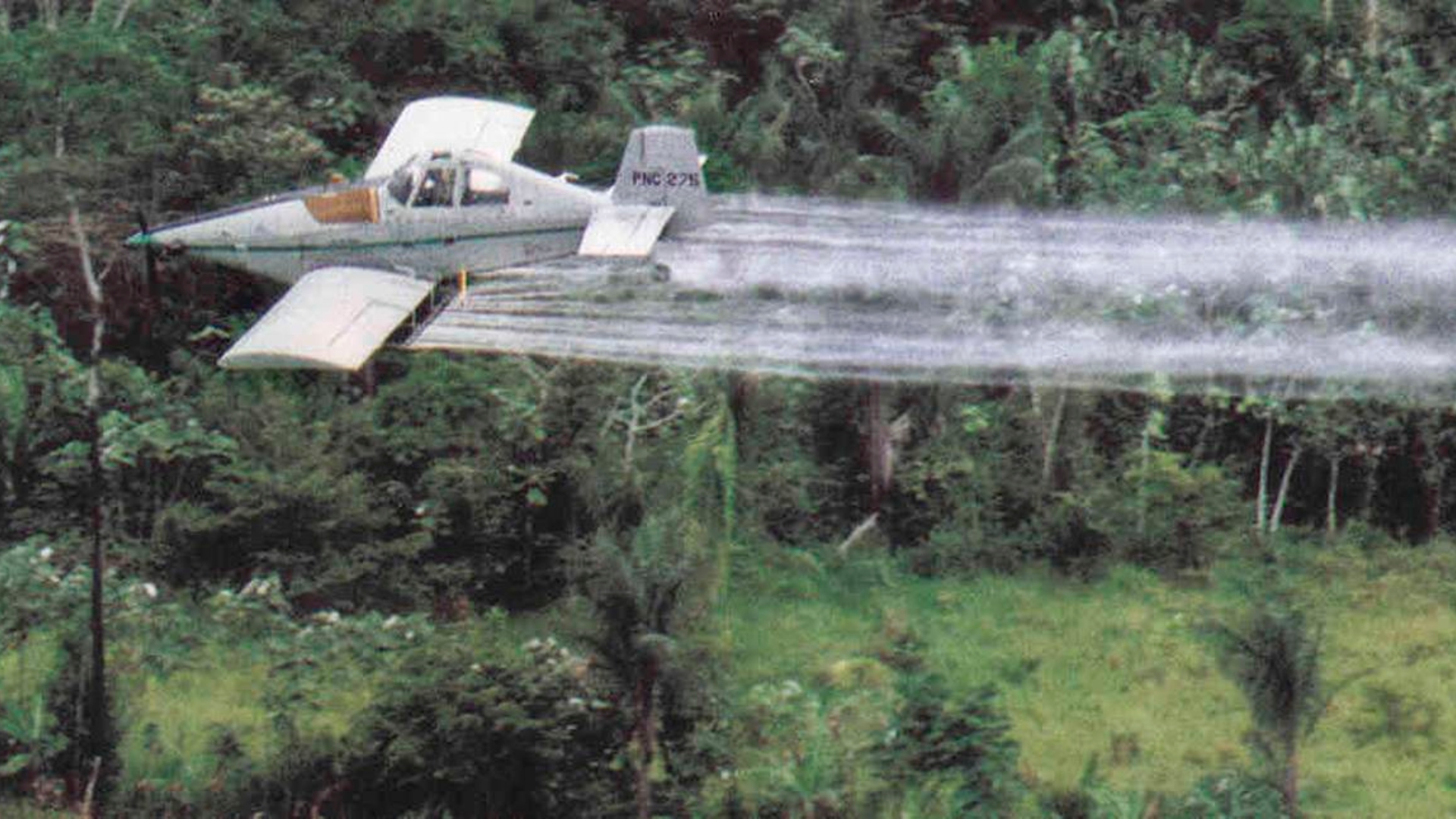 Hoy se discute en el senado proyecto que prohíbe el glifosato en Colombia