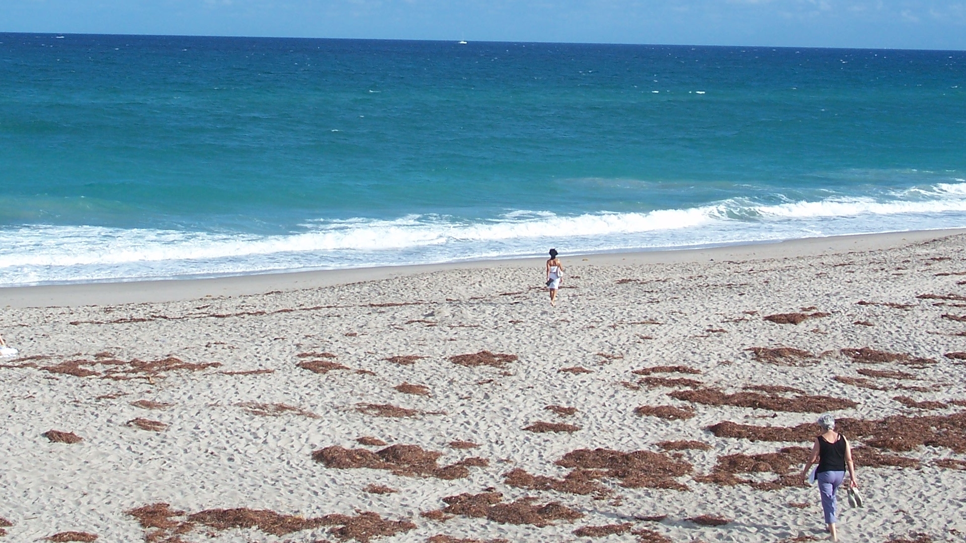Hombre muere ahogado en parque “John D. Macarthur Beach” de North Palm Beach