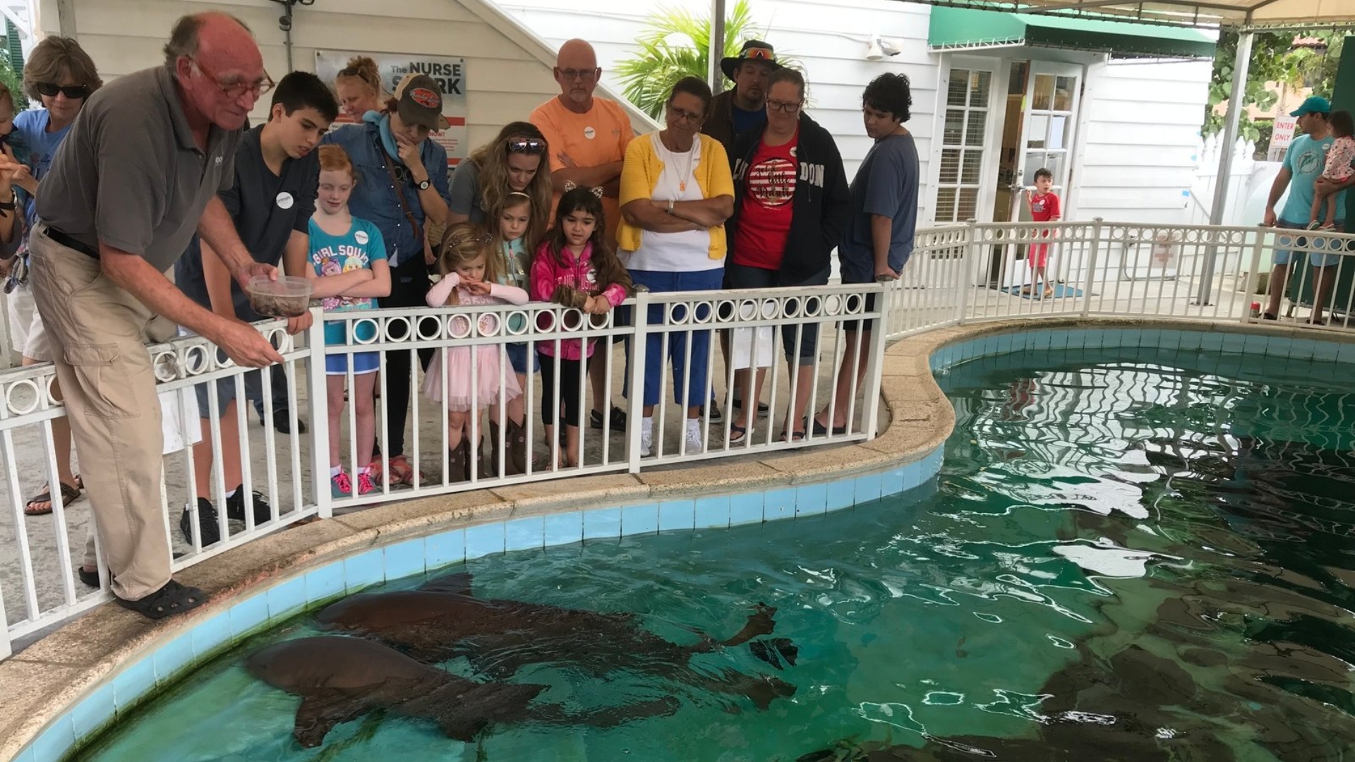 Sandoway Discovery Center presenta al Caimán Pepper