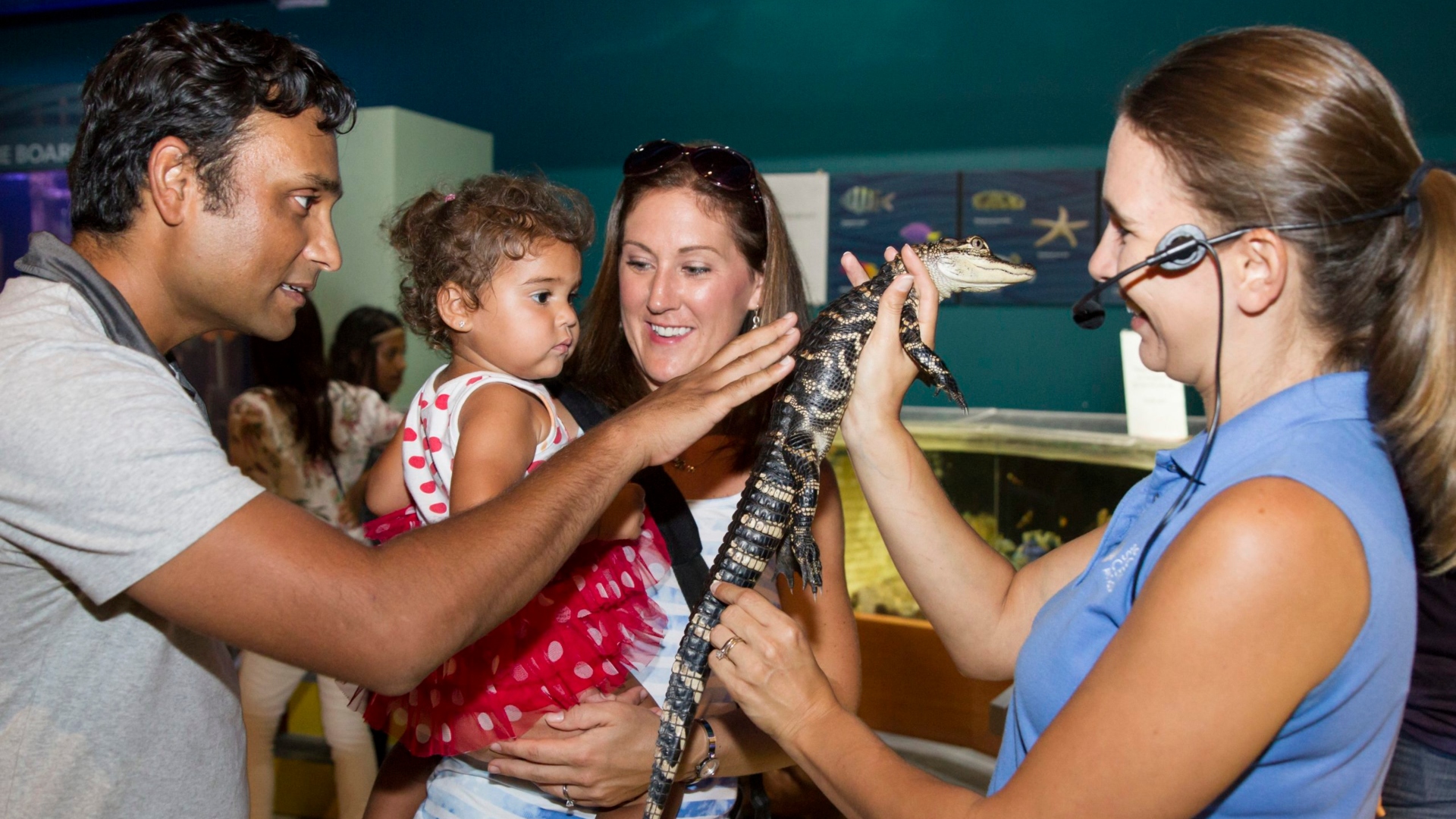 “Nights At The Museum” en el Centro de Ciencias Y Acuario