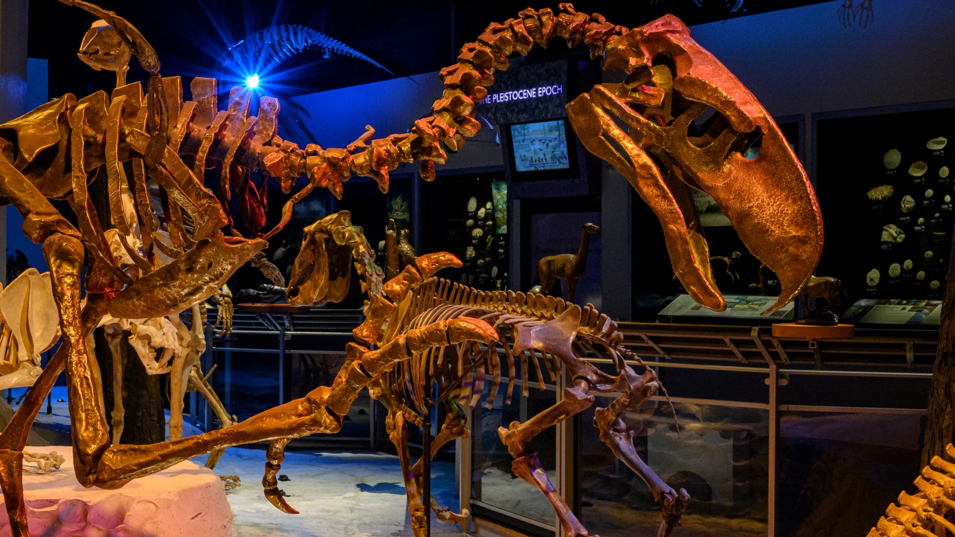 Festival familiar en el South Florida Science Center and Aquarium