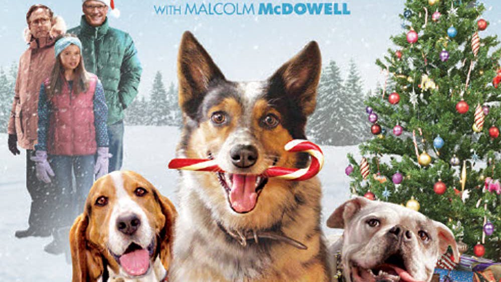 Dolph Lundgreen en la divertida película «Pups Alone»