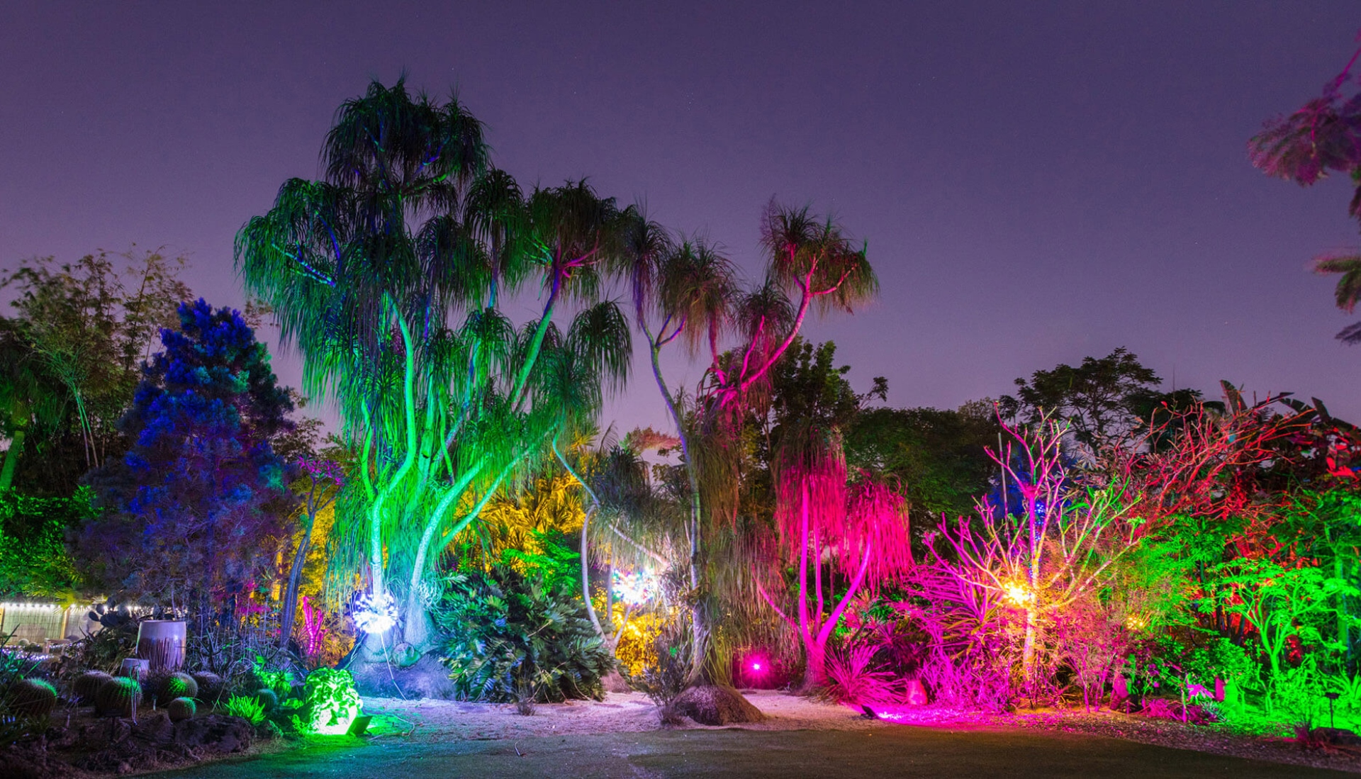 Vuelve «Gardens Of Lights» en Mounts Botanical Garden
