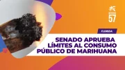 Florida avanza en regulación de marihuana pública