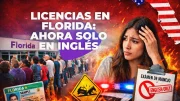 Florida endurece las reglas para obtener la licencia