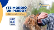 No te calles si te mordió un perro: ¡la ley te protege!