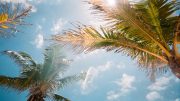South Florida se despierta con un fin de semana seco y cálido