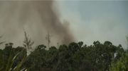 Servicio forestal en alerta por condiciones climáticas