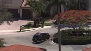 Investigan tiroteo en una casa del vecindario Windsor Palms