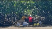 Dos hombres hacían ritual de sacrificio de animales en la playa en Virginia Key