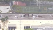 Hombre que robó un auto se enfrenta a la policía en azotea en Miami-Dade