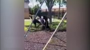 ADOLESCENTE LGBTQ es atacado por suspuestos AMIGOS Pompano Beach