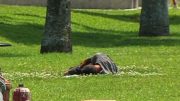 ALTOS COSTOS de RENTA pone a los vulnerables en la calle en Lake Worth Beach