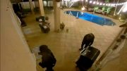 DOS LADRONES arrestados al paracer hacen parte de cartel CHILENO