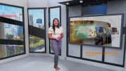 Qué hay para hacer y disfrutar este fin de semana en el Condado Palm Beach?