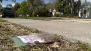 Más mensajes de odio antisemita en Vero Beach