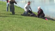 Caimán mata mujer de 85 en el Condado St. Lucie