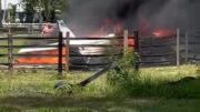 Piloto muere al caer en Martin County