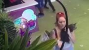 Mujer roba cachorro Yorkshire Terrier de tienda en Doral
