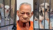 Exhibicionista de 75 años Alberto Núñez se expuso a niña de 11 años